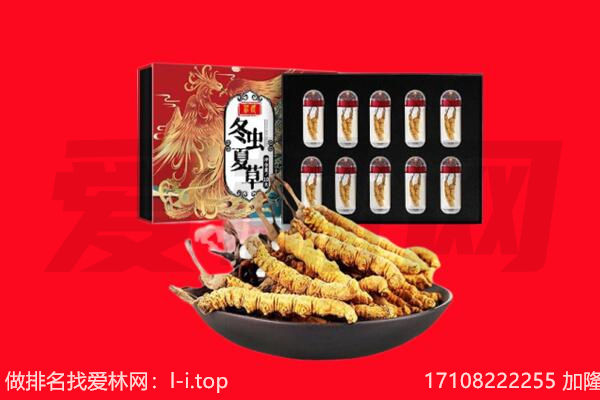 城北虫草回收